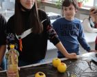 IMG_20211209_160136